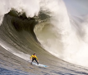玩法流程到底怎么样？操作教程